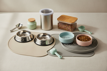 Pet Feeding Essentials