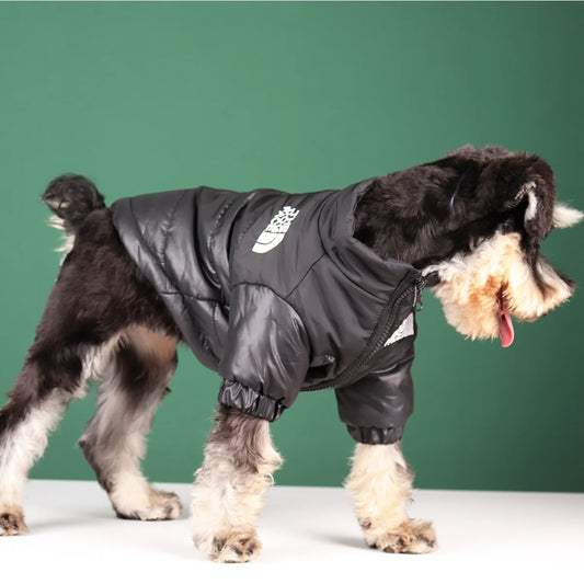 Premium Winter Dog Down Jacket