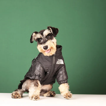 Premium Winter Dog Down Jacket